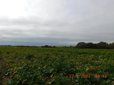 FINCA EN COBOS DPTO. DE GRAL. GUEMES