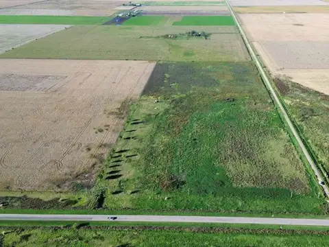 EN VENTA CAMPO 11,5 HECTAREAS 100% AGRICOLA