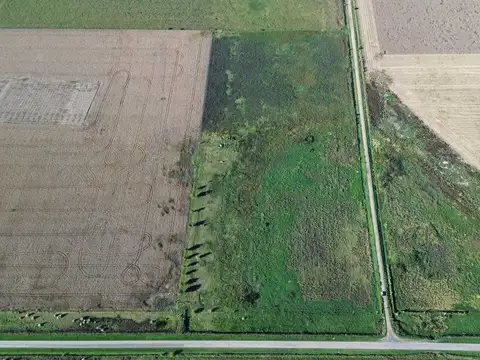 EN VENTA CAMPO 11,5 HECTAREAS 100% AGRICOLA