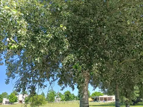 Lote en Fincas de San Vicente