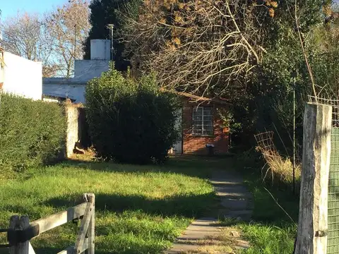 Diagonal  4 nº 264 e/ 462 y 464