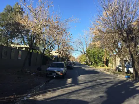 Diagonal  4 nº 264 e/ 462 y 464