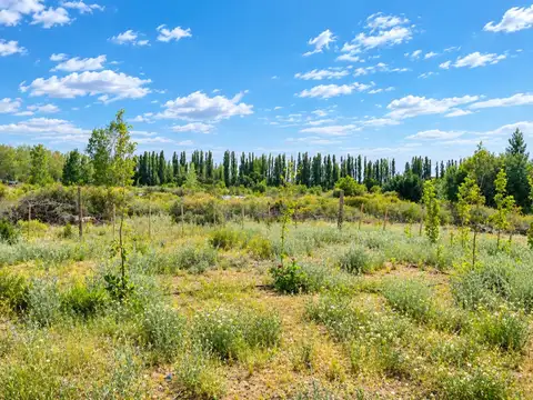 Terreno en venta villa arroyito neuquen