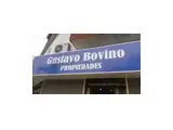 GUSTAVO BOVINO