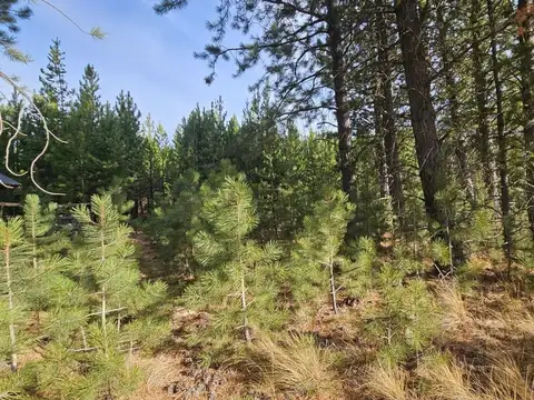 Terreno en Venta de 1703,0 m2