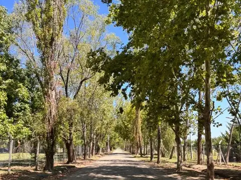 Terreno en Venta de 1000,0 m2