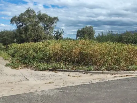 Terreno en Venta de 250,0 m2