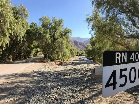 12  hectareas  en  venta  Cachi Salta