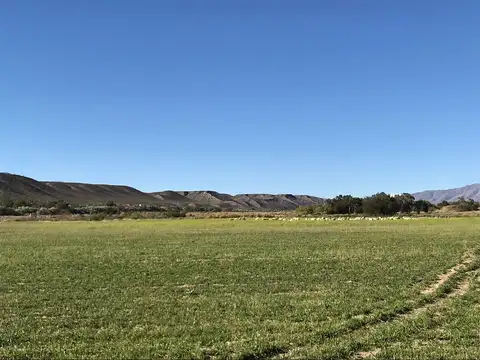 Ruta  40  km 1450