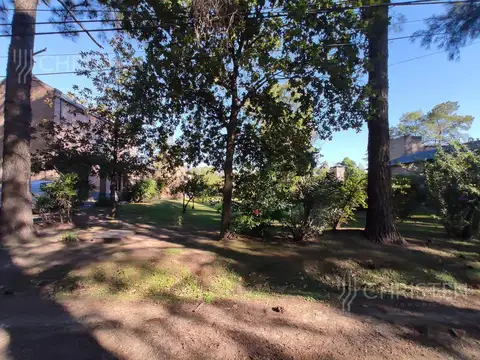 El PASO Los Geranios