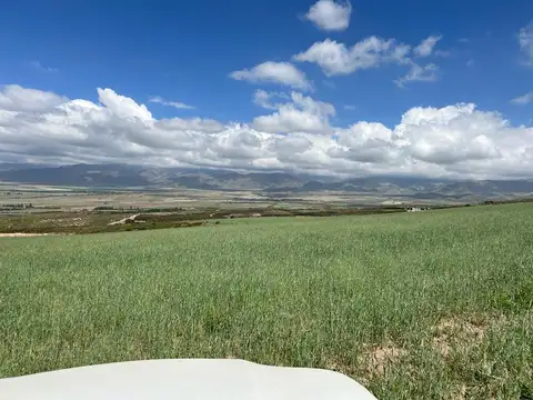 Ruta 89
