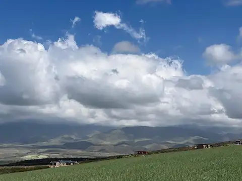 Terreno en Venta de 35000,0 m2