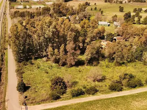 RN8 Km 79, Provincia de Buenos Aires 100