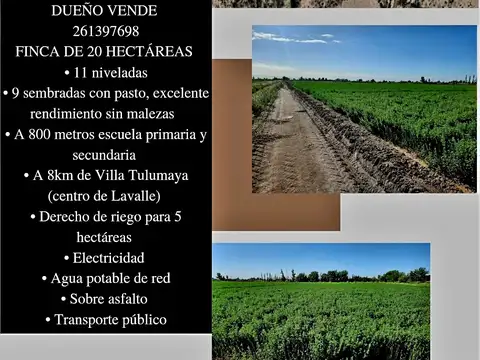 Campo en venta en Alto del Olvido