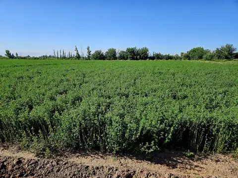 San martin y de los correa