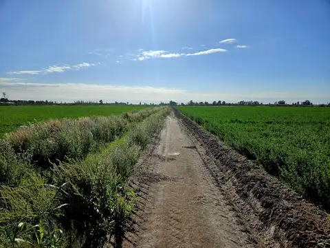 Campo en Venta de 20  ha