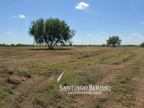 Campo en El Tatu