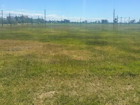 Terreno en Venta 29  mts Fondo