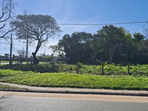 Terreno en Alquiler 31  mts Frente