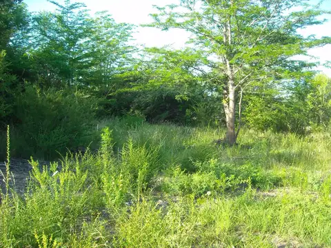 Terreno en Venta en Santa Rosa De Calamuchita, USD 20.000