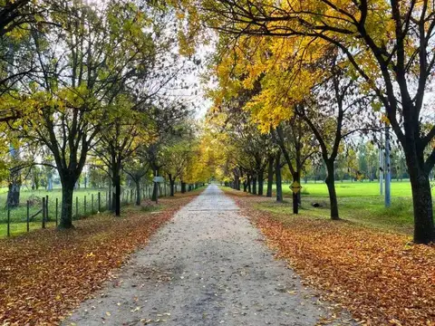 Venta de Lote en  Barrio Cerrado de Brandsen