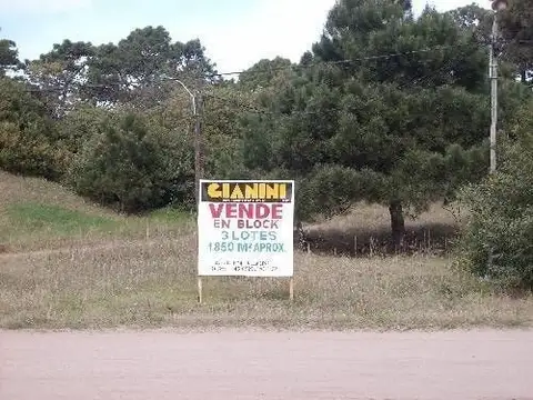 Terreno - Venta - Argentina, Villa Gesell