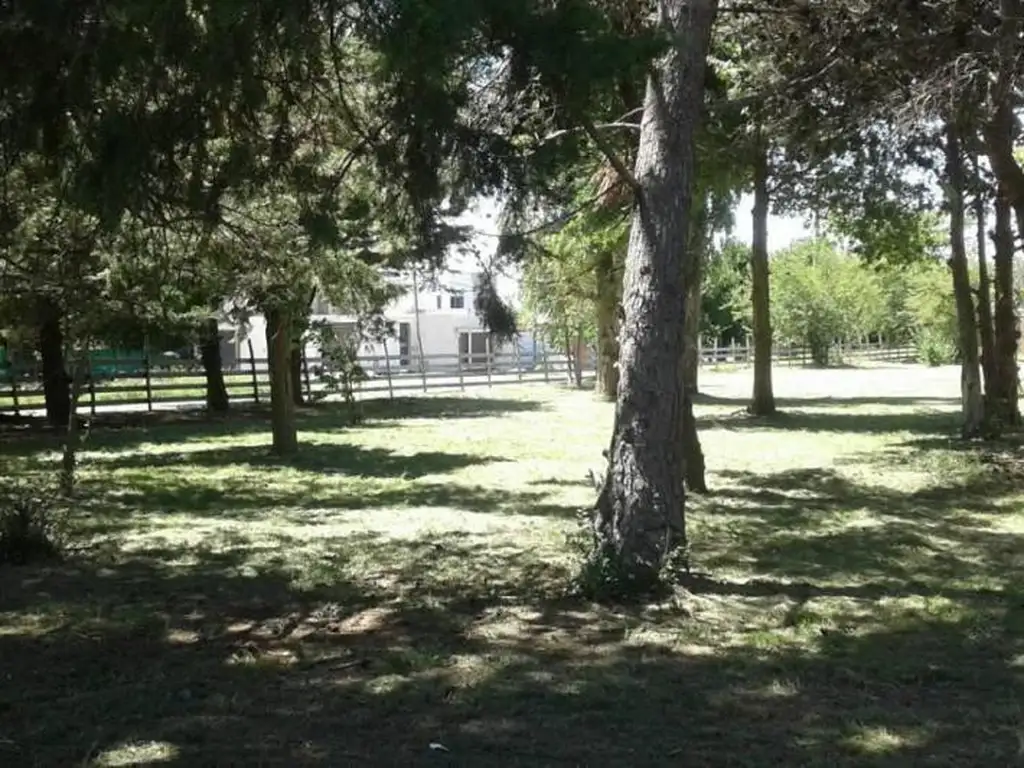 Av. 38 y 147