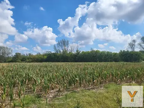 Campo en Venta -  - 375000mts - Zarate