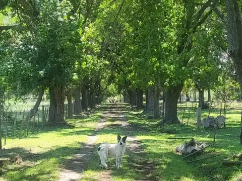 Ruta 9 Km 105