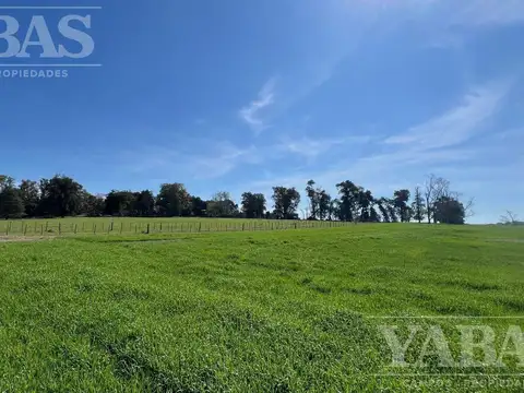VENTA DE CAMPO – 200 HECTÁREAS – PARTIDO DE BARADERO, RUTA NACIONAL Y AUTOPISTA N.º 9,