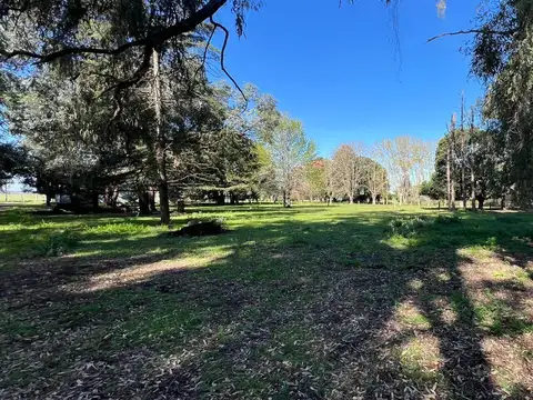 VENTA DE CAMPO – 196 HECTÁREAS – PARTIDO DE BARADERO, RUTA NACIONAL Y AUTOPISTA N.º 9,