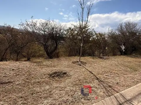 Lote en el Terron