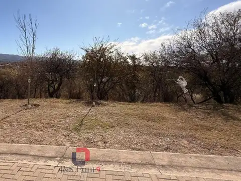 Lote 58