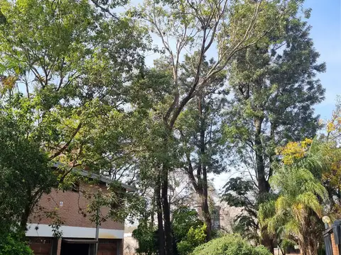 Casa parque en la ciudad, "La Mansion del Bosque"