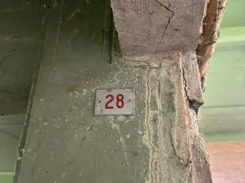 Diego Palma 42