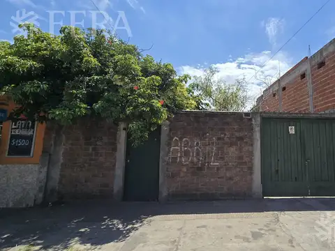 BOLAÑOS al 4300
