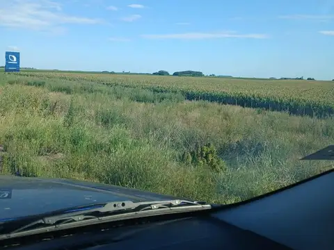 Campo en  PERGAMINO, RUTA 8 KM 209.5