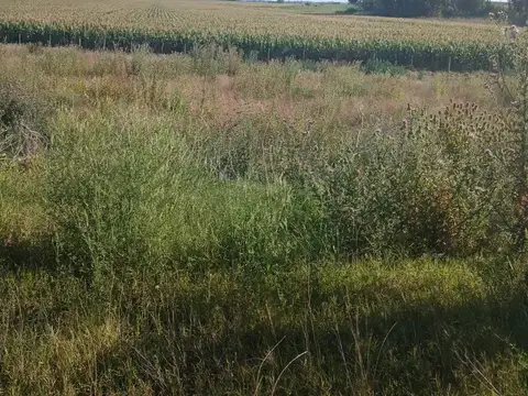ruta 8 km 200 PERGAMINO