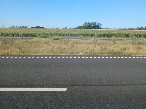 Campo en  PERGAMINO, RUTA 8 KM 209.5