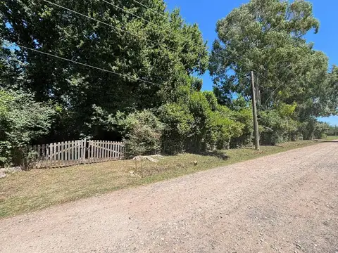 Terreno en Venta en Abasto, USD 130.000
