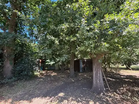 Terreno en Venta en Abasto, USD 130.000
