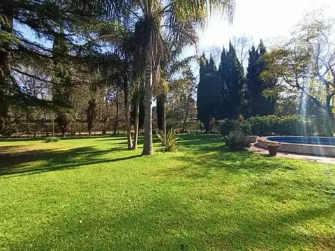 De La Media Caña 3800