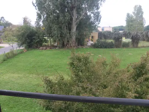 San Matias area 2
