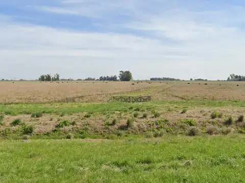 Campo en Venta de 155  ha
