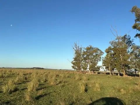 Campo Mixto 155 hec Las Bahamas Prov Buenos Aires