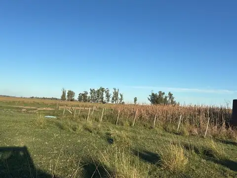Au Rn 9 Las Bahamas
