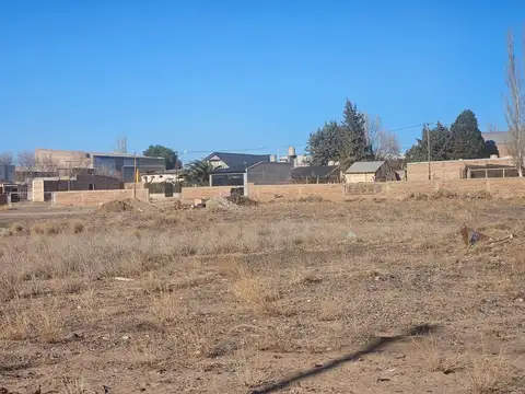 San Juan y Rio Negro  Centenario