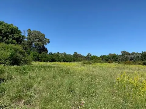 Chacra - Los Cardales