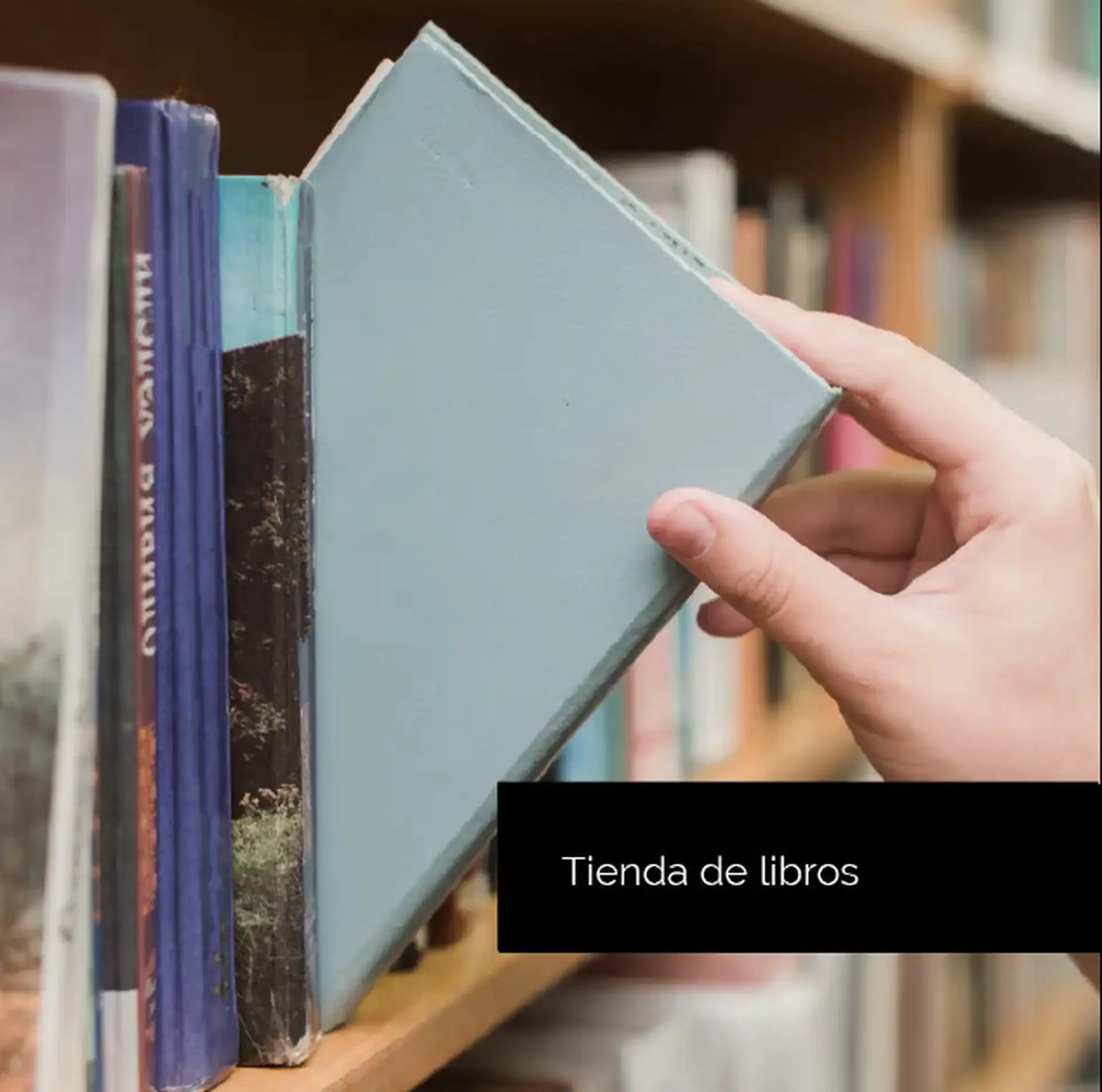 Mar del Plata — Inversión en emprendimiento (ambientes y cocheras a confirmar)