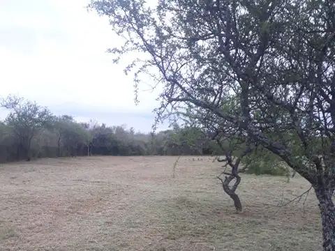 AMPLIACION LA PEDRERA 100